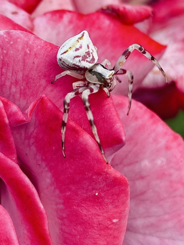 Photograph by Евгения Казакова