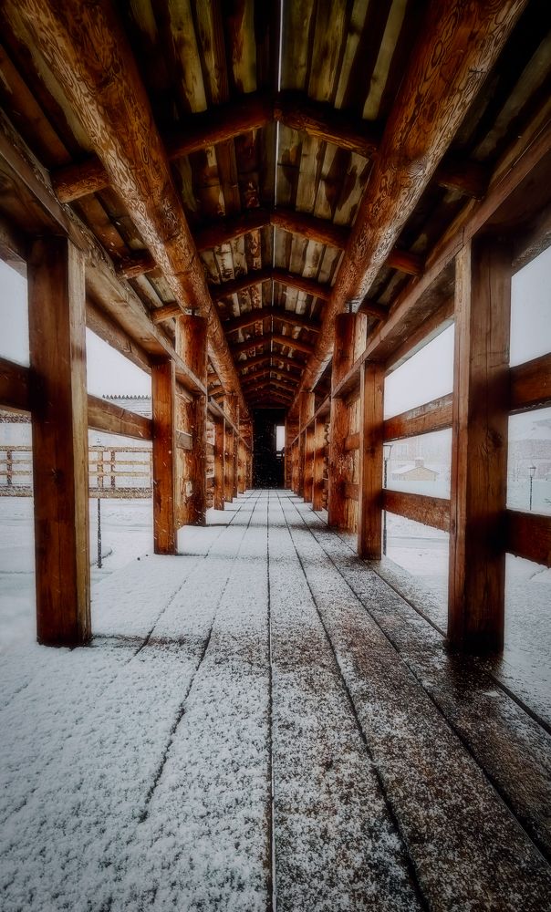 Photograph by Светлана Перминова