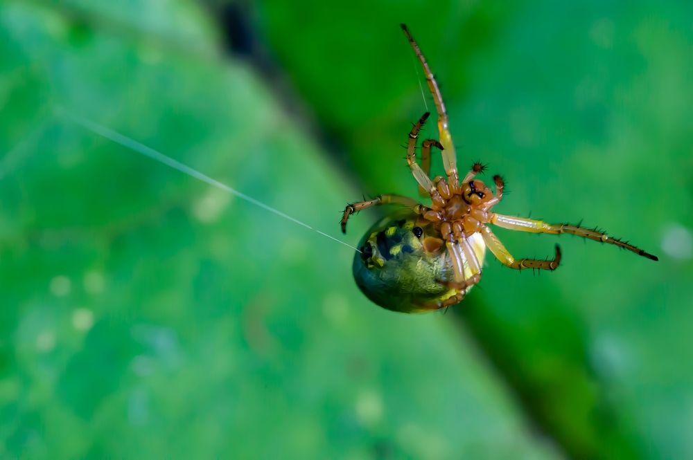 Photograph by Вадим Басов