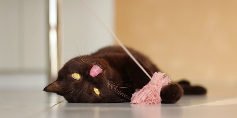 Photograph by Мария Мельникова