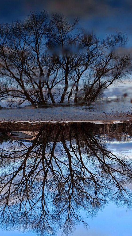 Photograph by Maria Stankevich