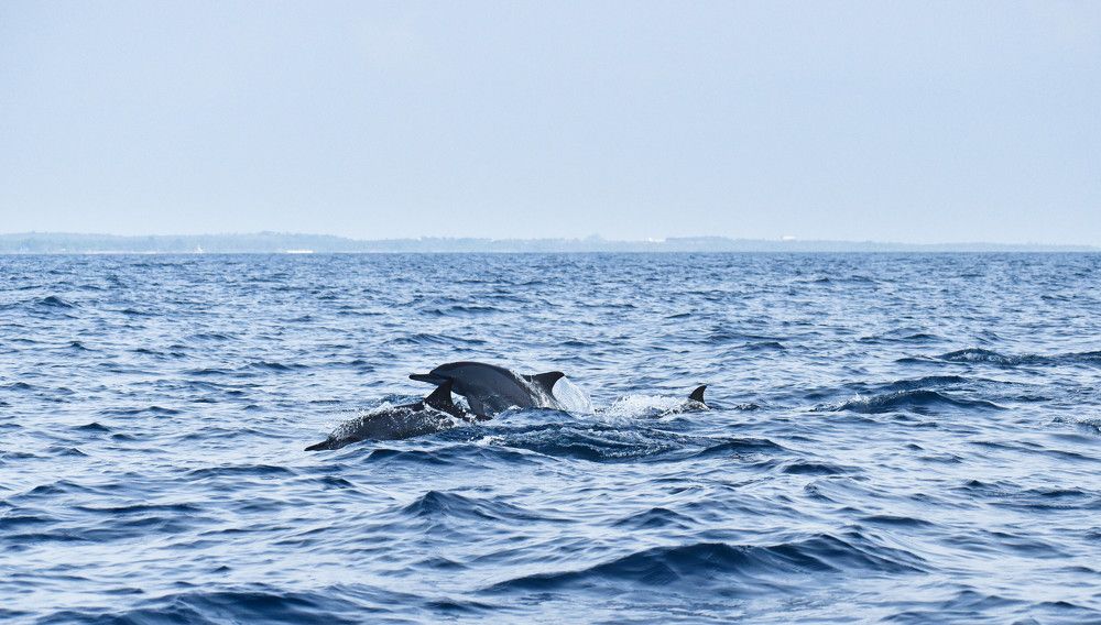 Photograph by Bimali Fernando