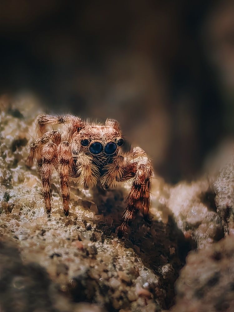 Photograph by Юлия Карпова