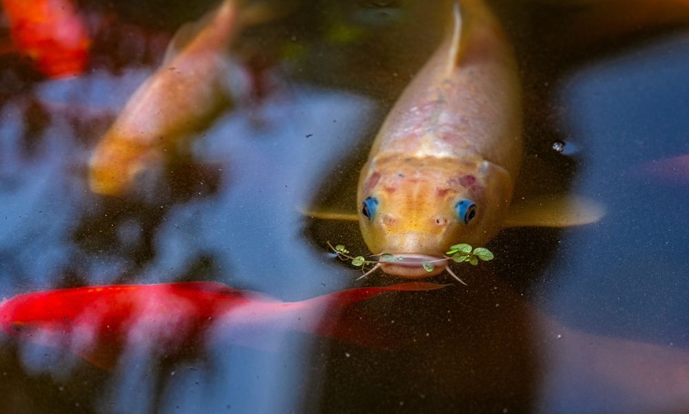 Photograph by Сергей Басов