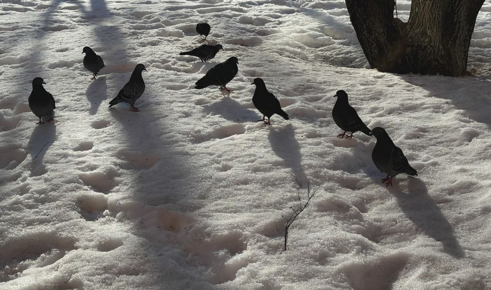 Photograph by Oxana Petlina