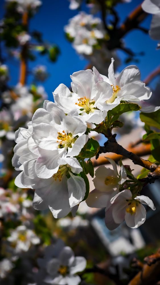Фотография автора Иван Мисько