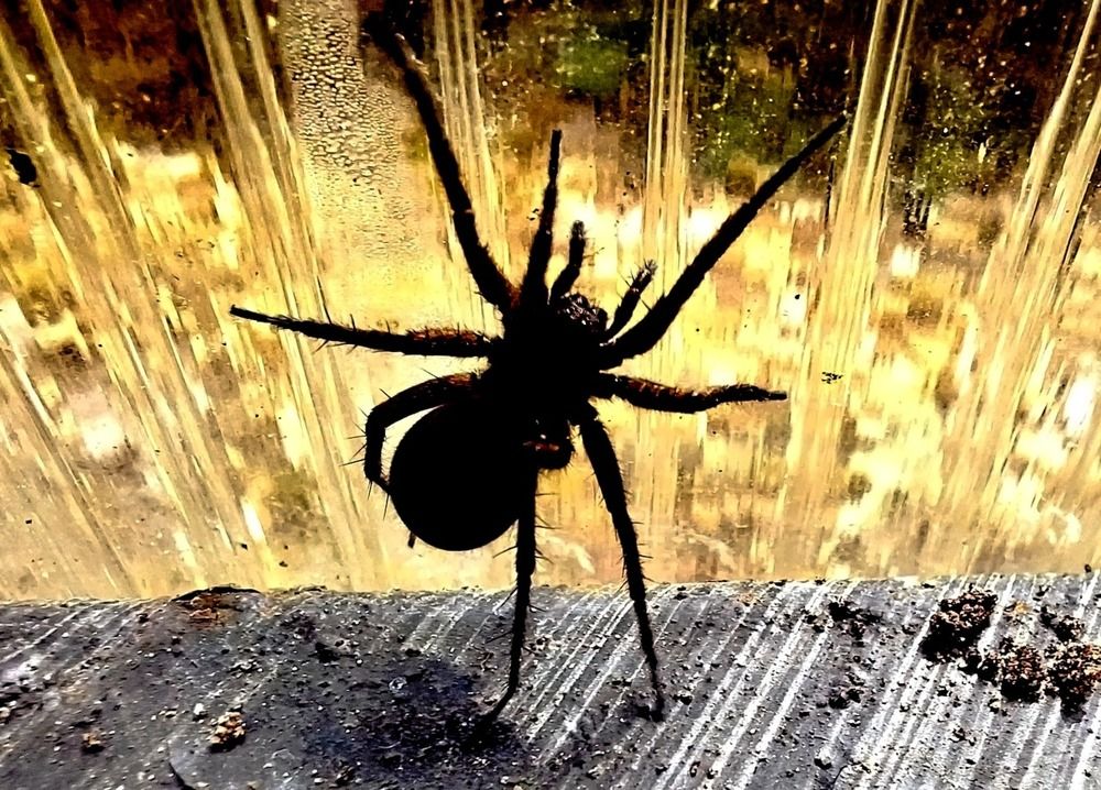 Photograph by Татьяна Слесарева