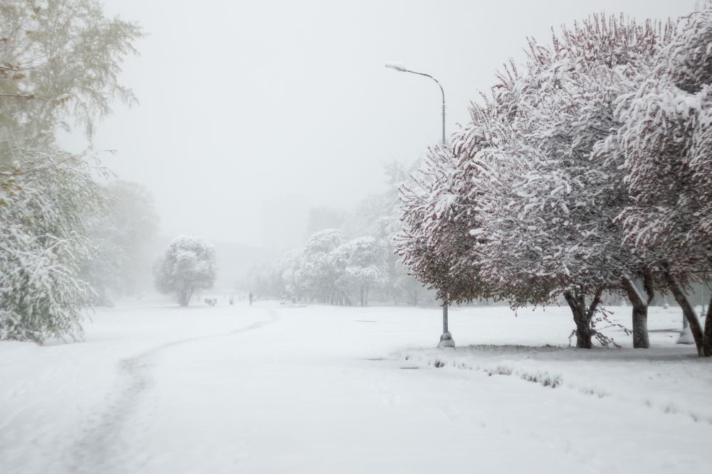 Майский снегопад