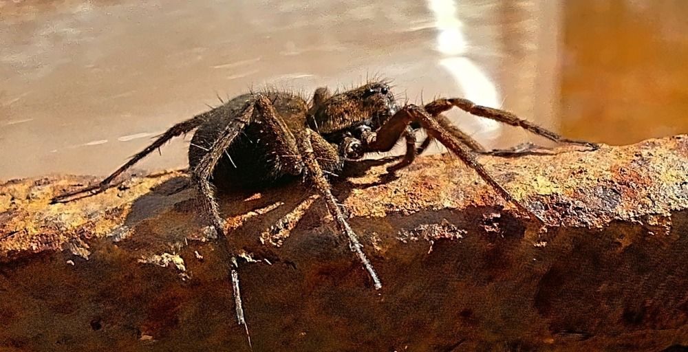 Photograph by Татьяна Слесарева