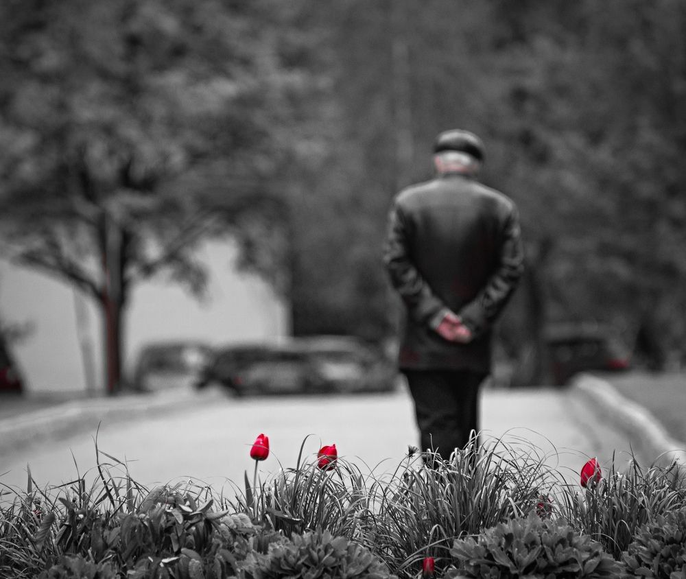 Photograph by Сергей Басов