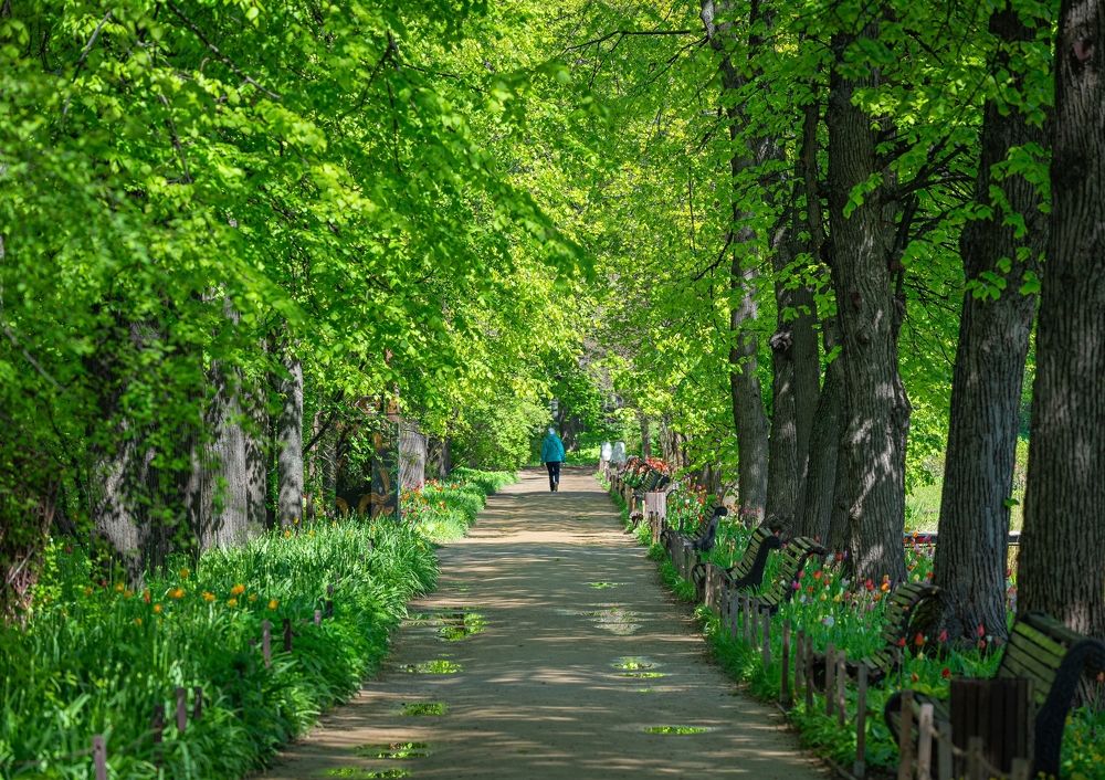 Photograph by Сергей Басов