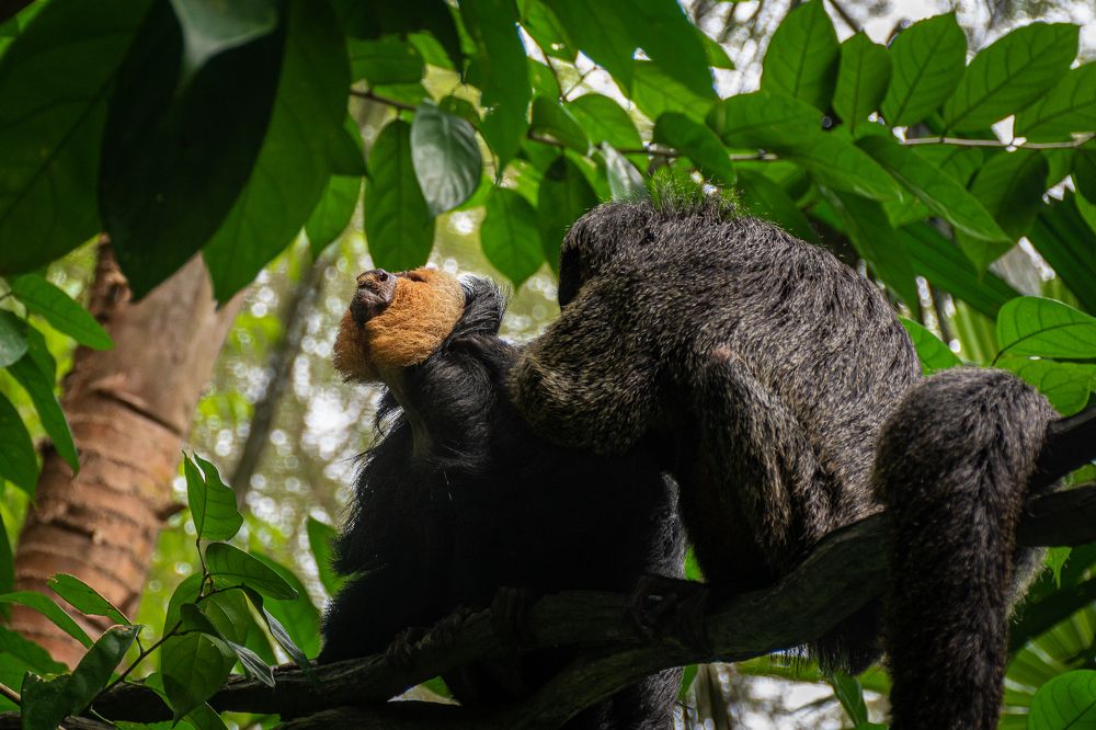 Photograph by Наталья Кокорина