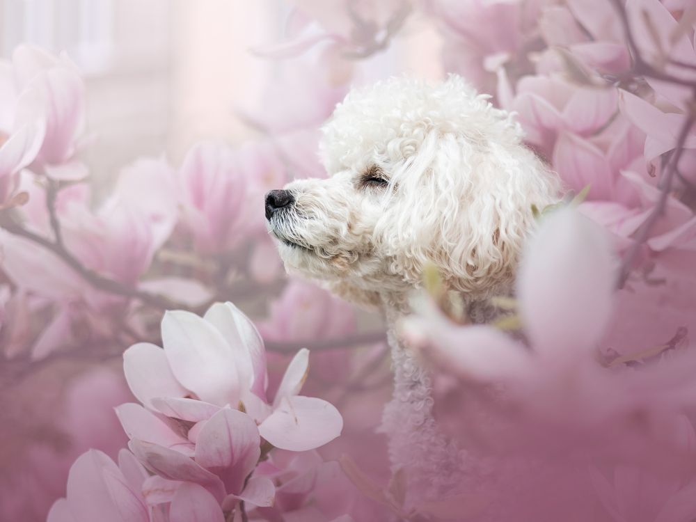 Photograph by Dorota Hnatová