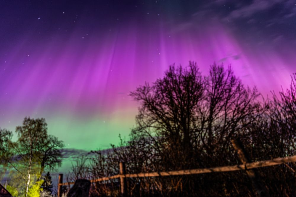 Photograph by Ольга Волкова