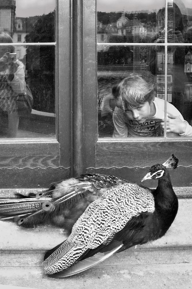 Любопытство.