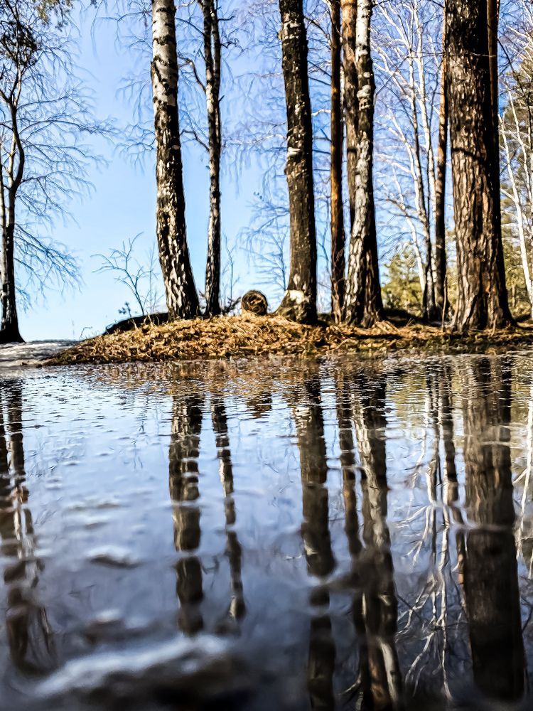 Photograph by Вера Романова