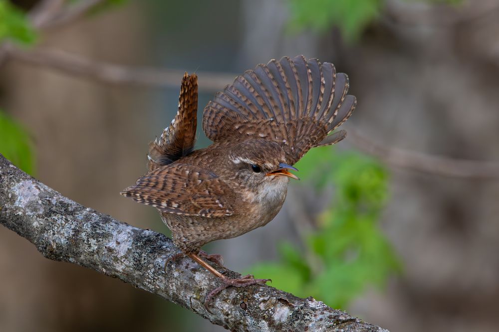 Photograph by Алексей