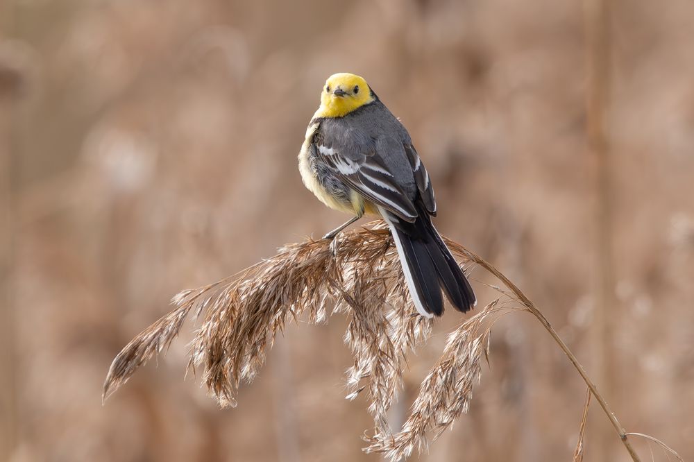 Photograph by Алексей