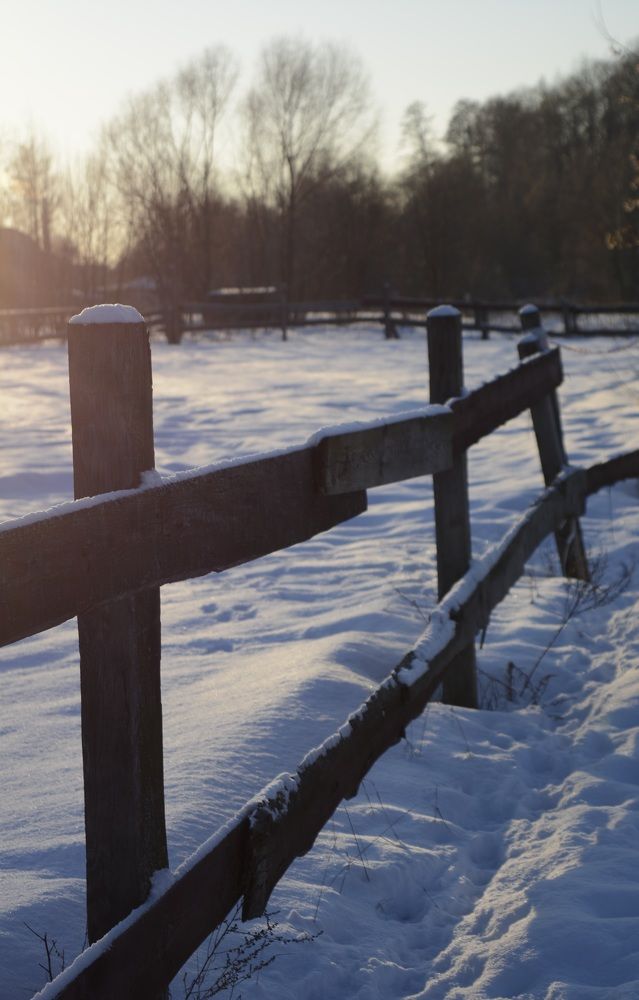 Photograph by Елена Щербакова