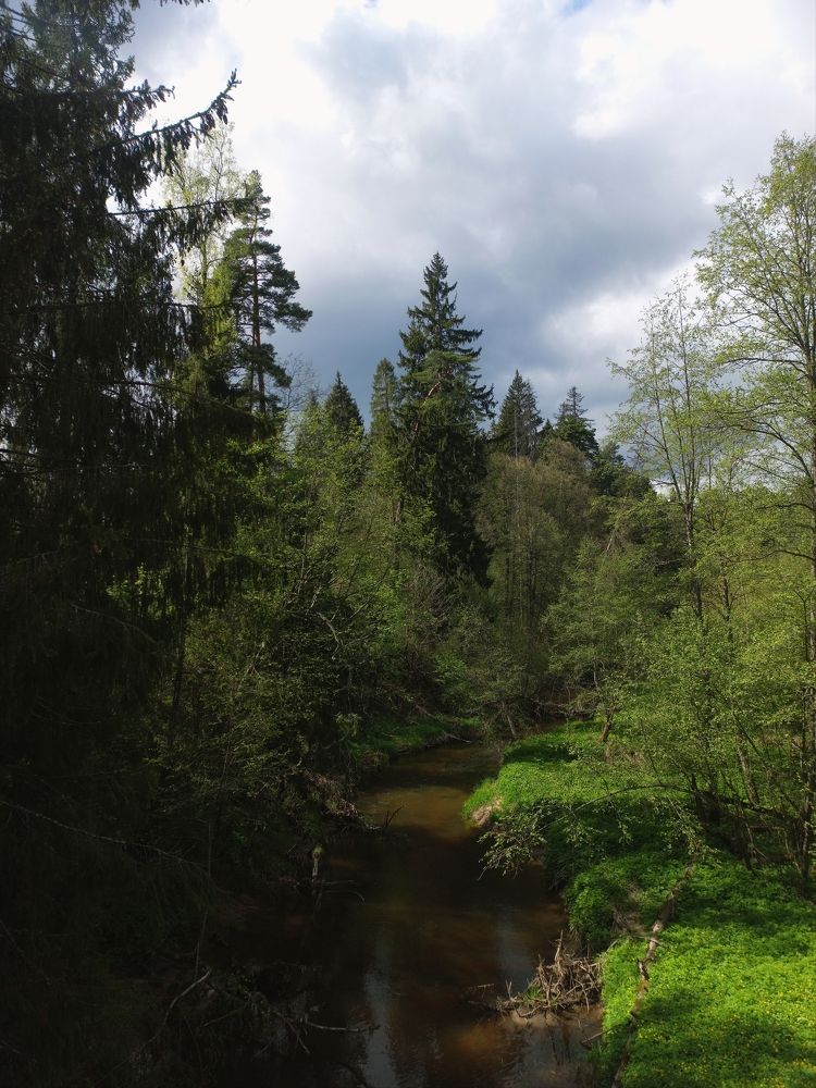 Photograph by Елена Щербакова