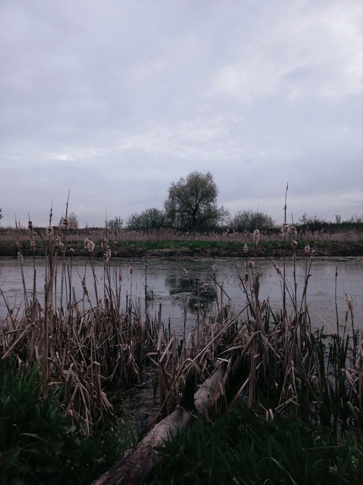 Photograph by Елена Щербакова