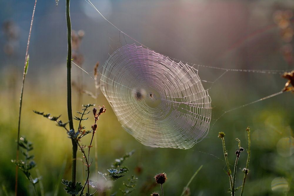 Photograph by Андрей Стародубцев