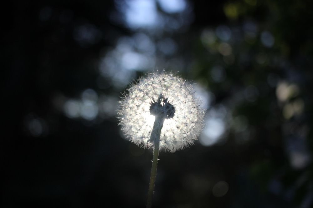 Photograph by Марина Евграфова