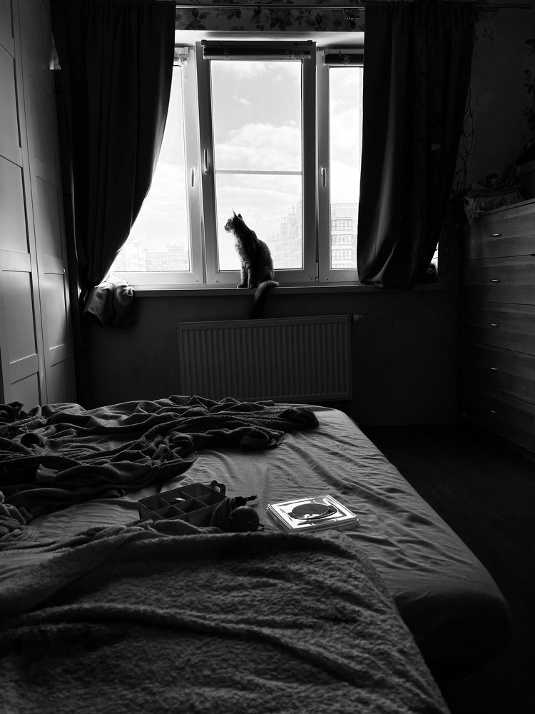 Photograph by Виктория Новикова