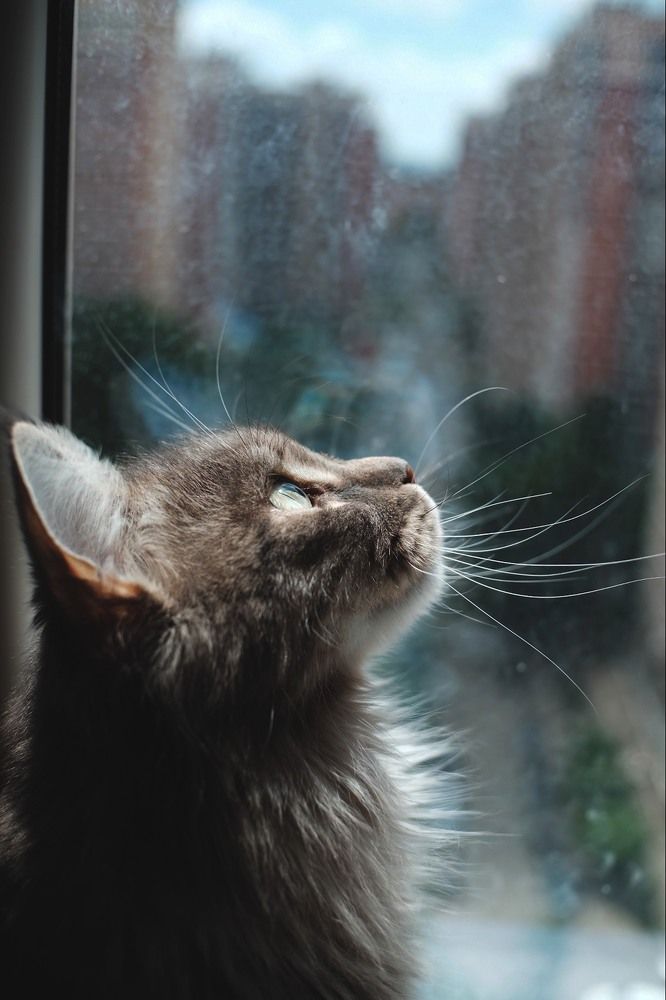 Photograph by Виктория Новикова