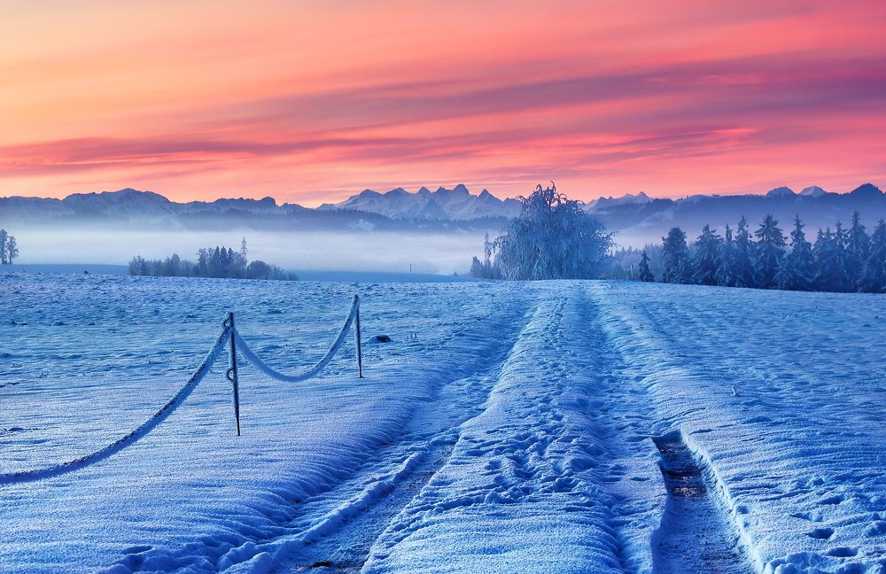 Photograph by Wymann Elena