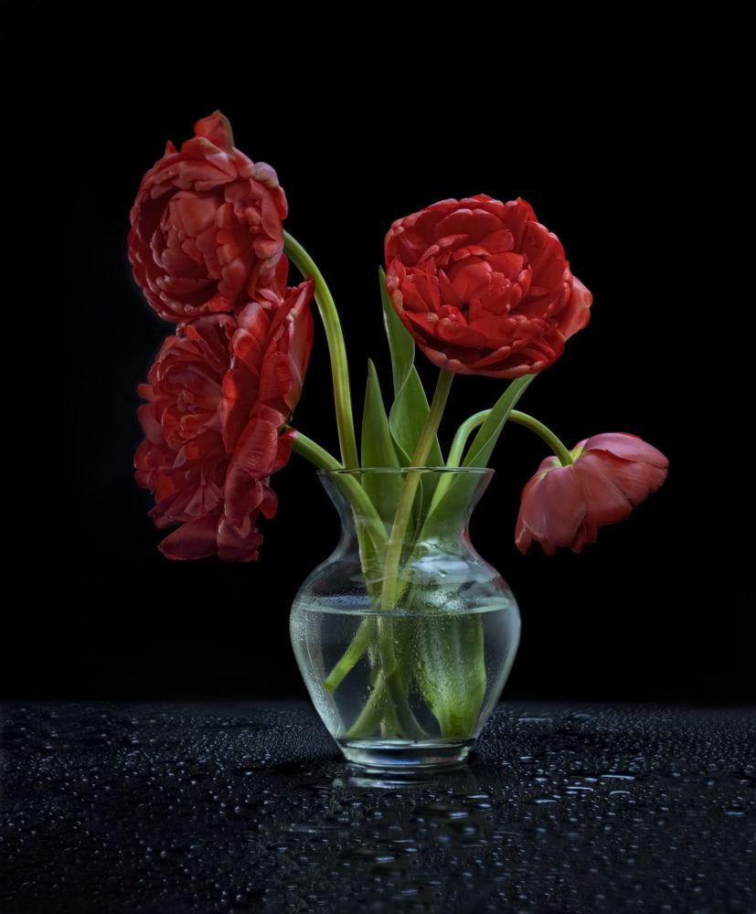 Фотография автора Черновол Валентин