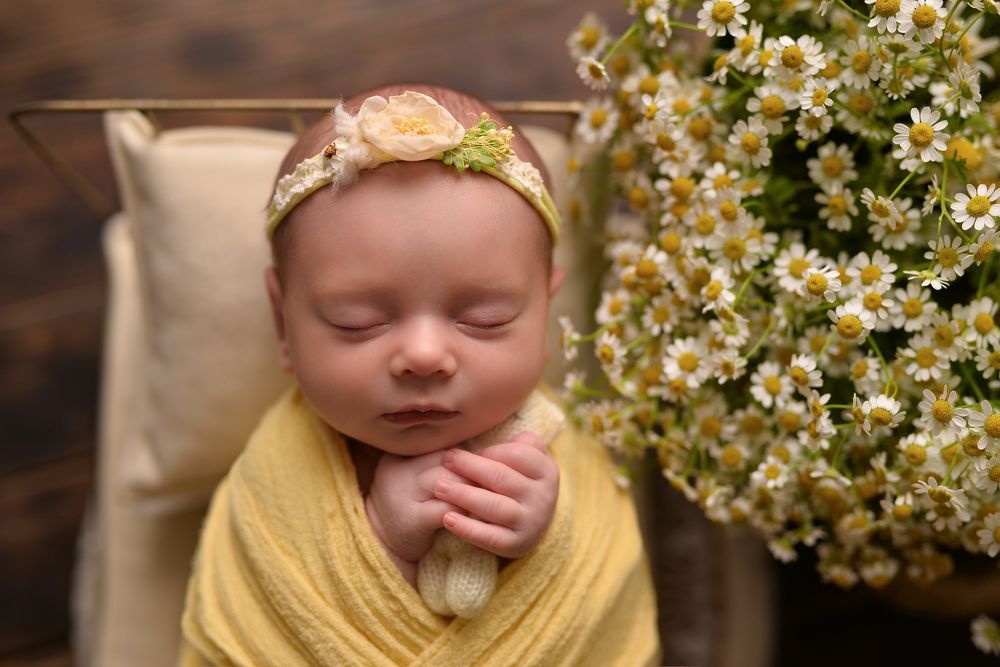 Photograph by Дарья Луковикова-Плеханова