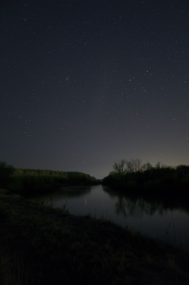 Photo #10592418