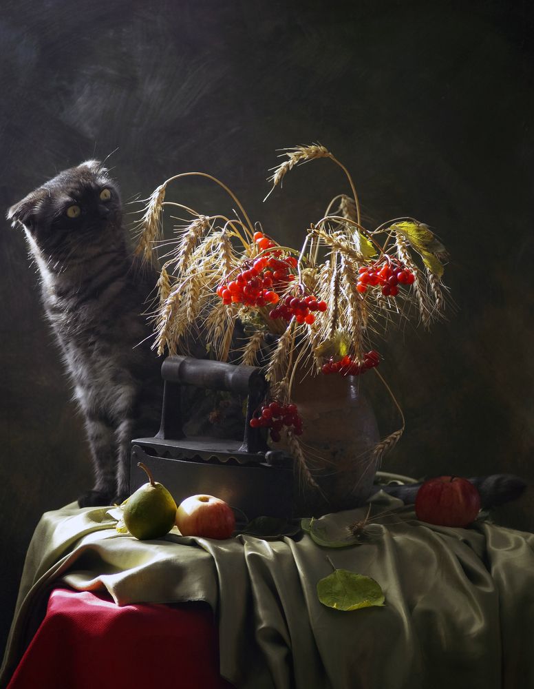 Photograph by Сушкевич Светлана