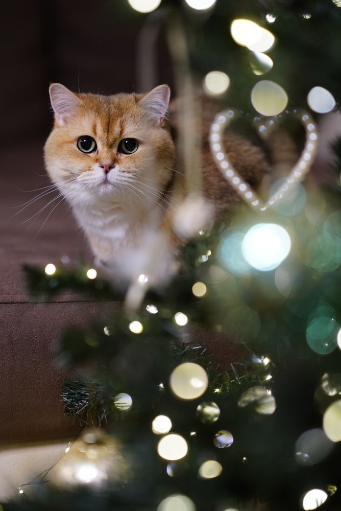 Photograph by Татьяна Машина