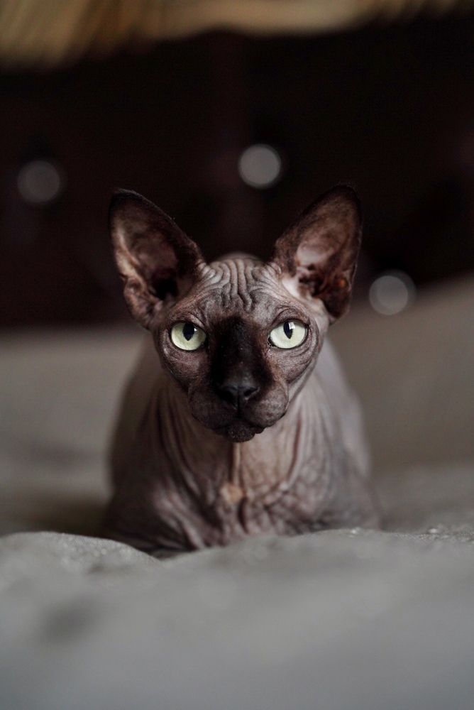 Photograph by Татьяна Машина