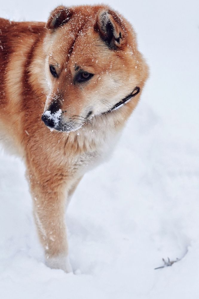 Photograph by Татьяна Машина