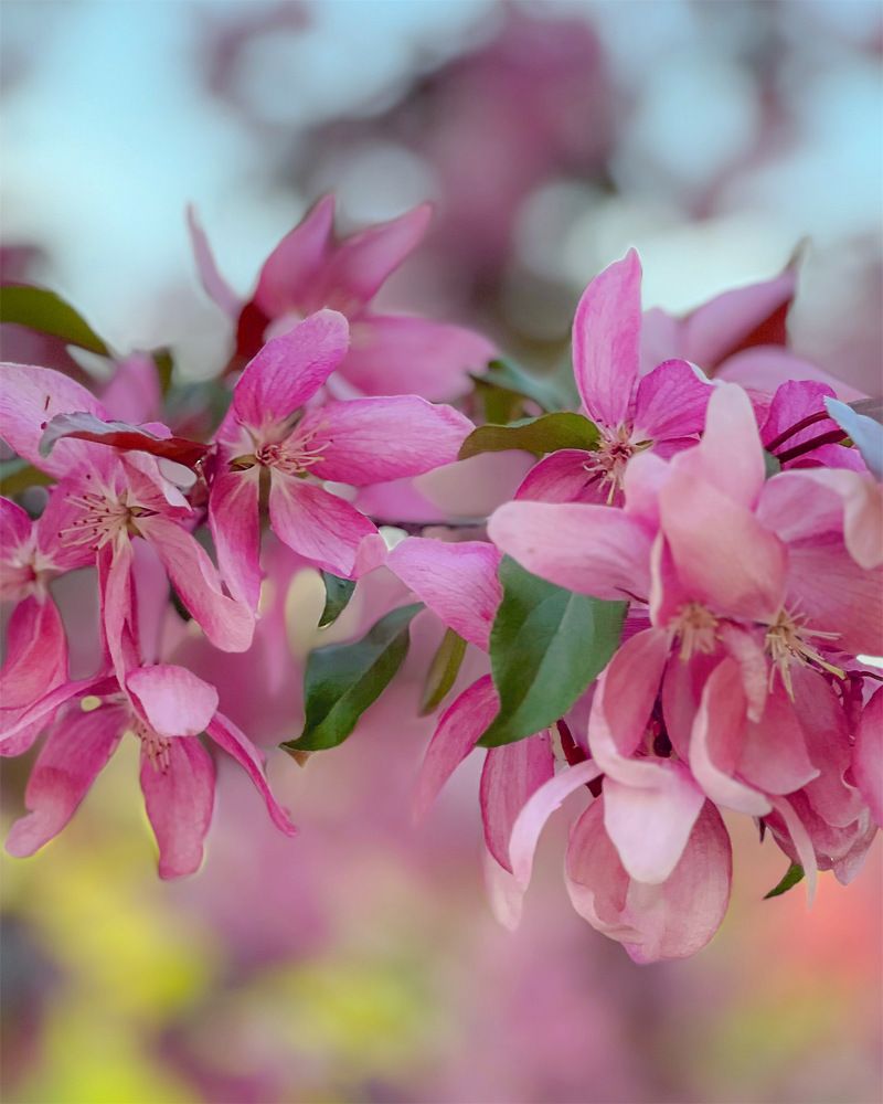 Photograph by Татьяна Волохова