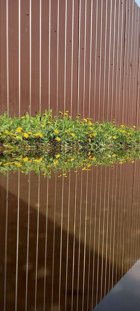 Фотография автора Марина Новикова