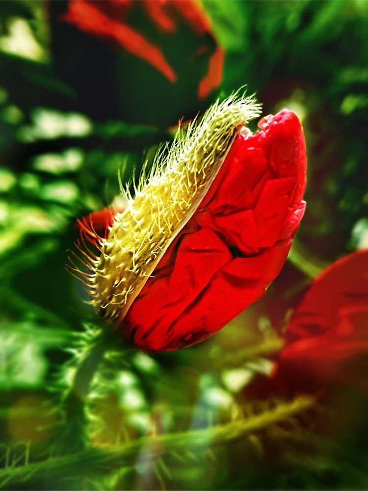 Photograph by Елена Громова