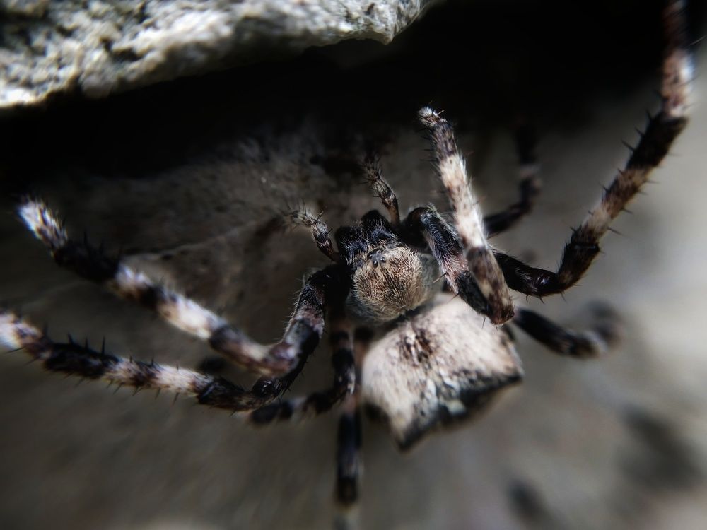 Photograph by Любовь Коровацкая