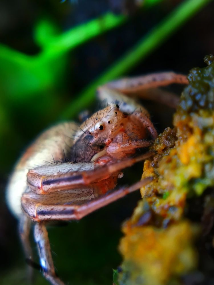 Photograph by Любовь Коровацкая