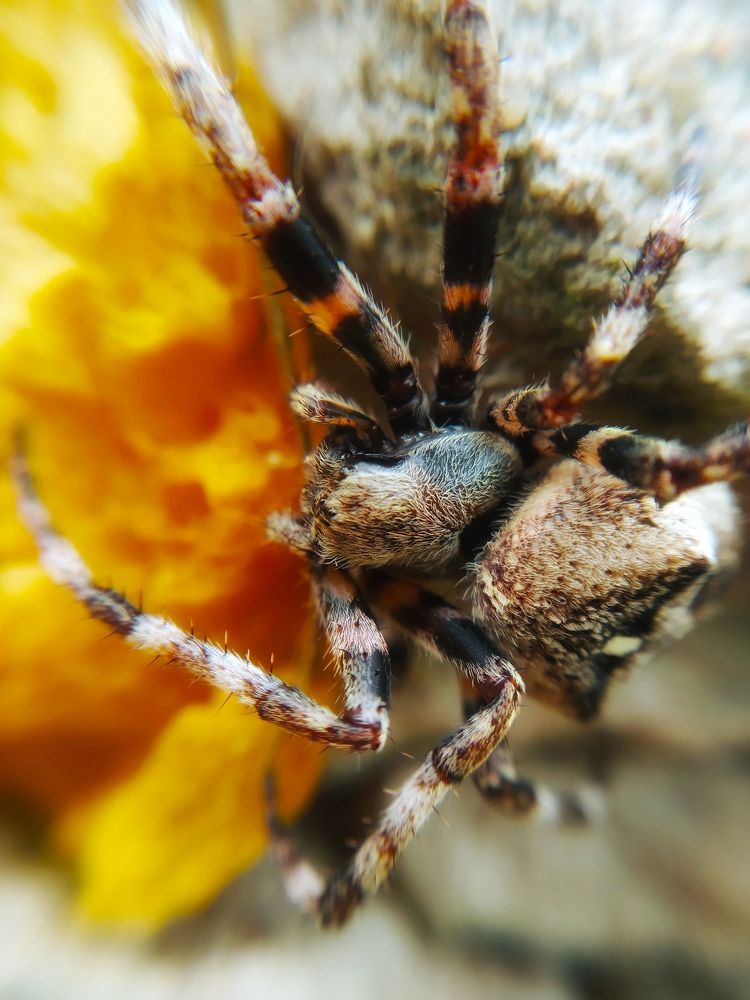 Photograph by Любовь Коровацкая