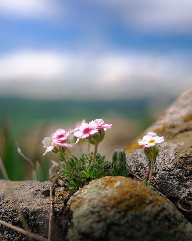 Photograph by Bogdan Kalashnikov