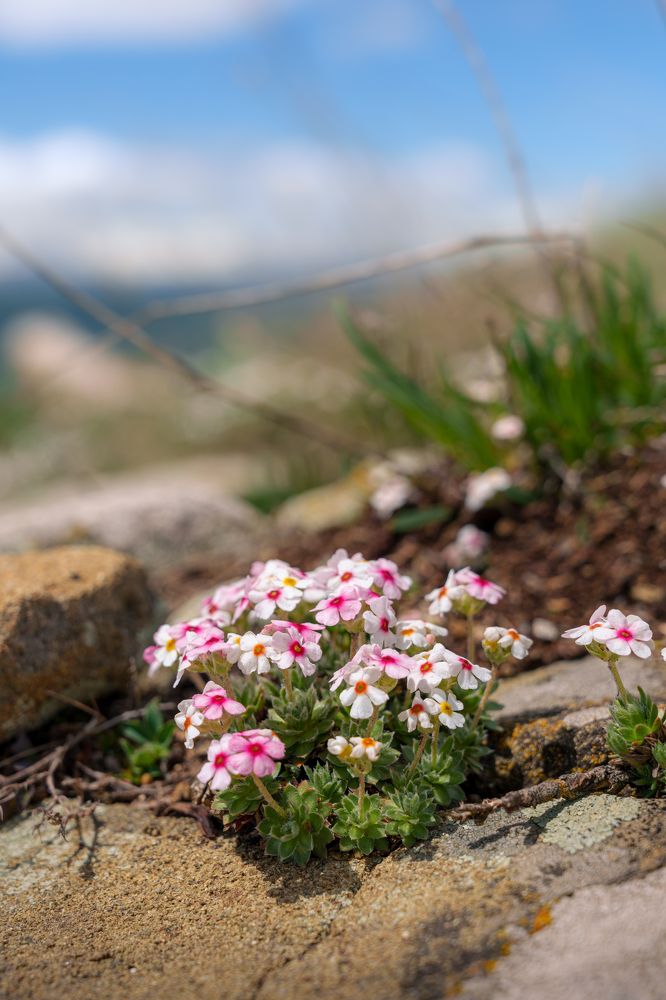 Photograph by Bogdan Kalashnikov