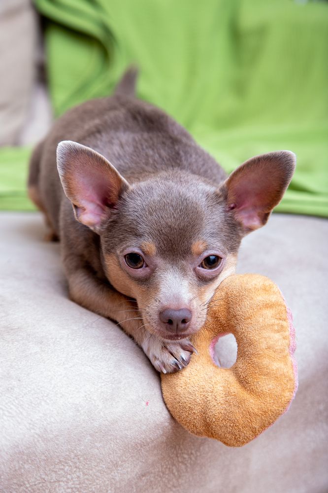 Позер Джейсон