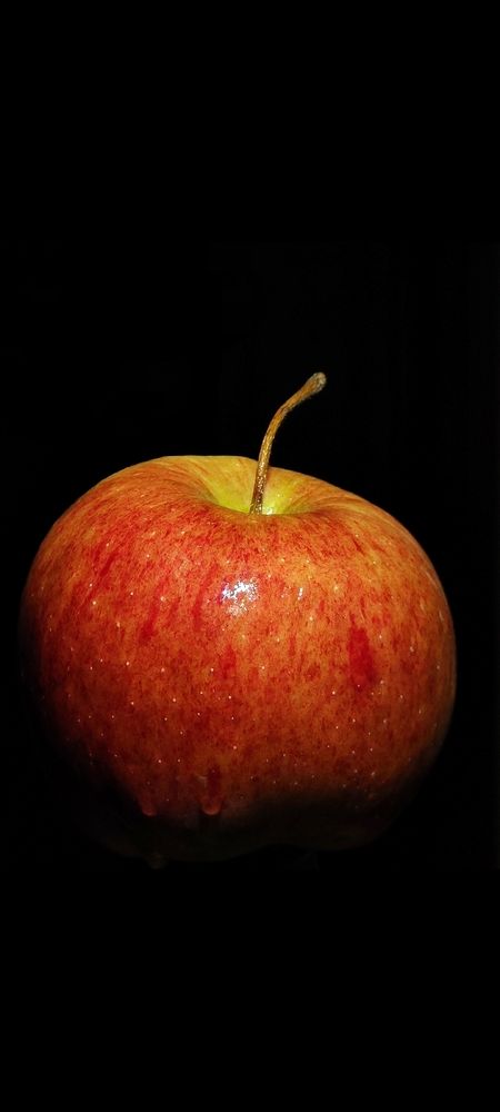 Photograph by Дмитрий Степанов