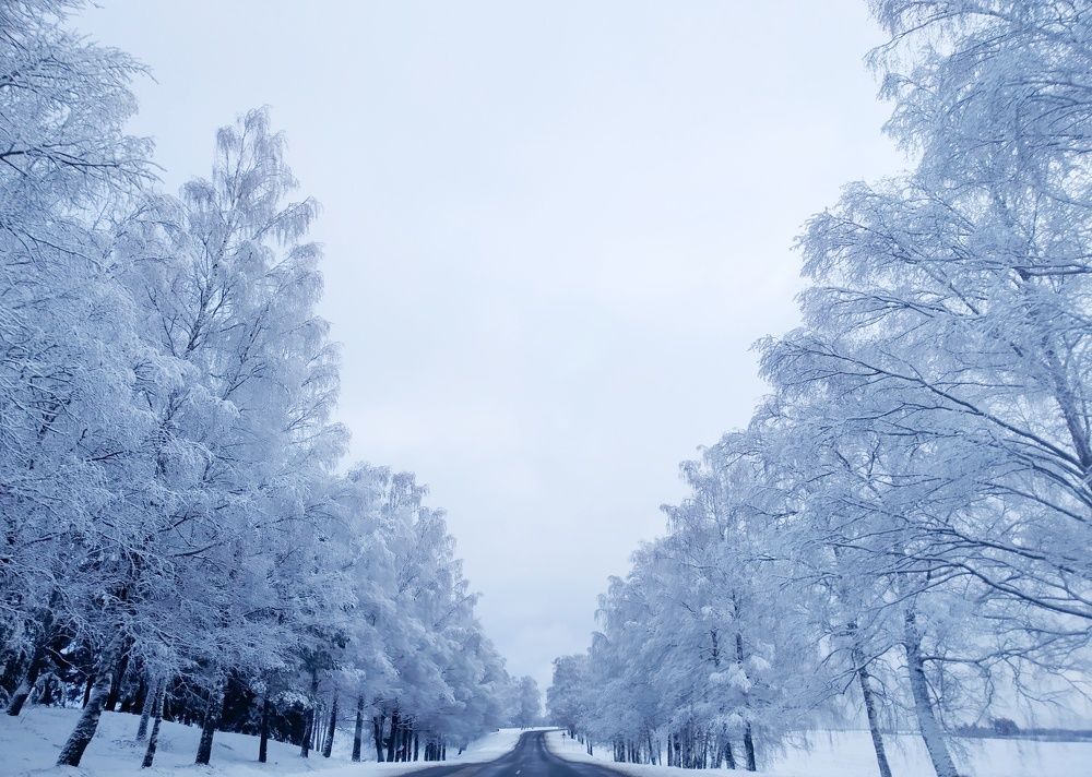 Photograph by Любовь Коровацкая