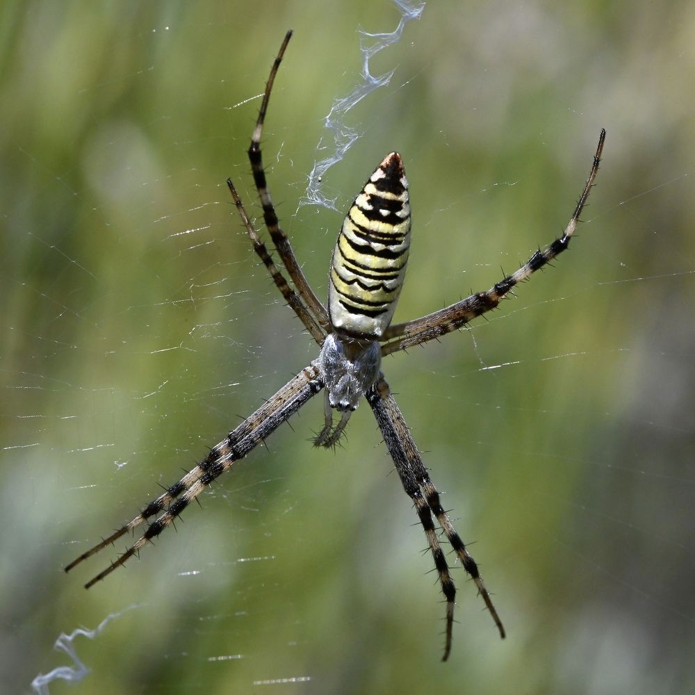 Photograph by Дмитрий Батагов