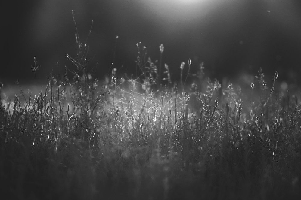 Фотография автора Михаил Лупина